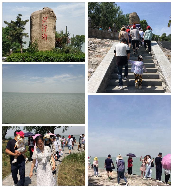 1690874597259324.jpg 5.jpg